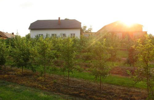 Owocowy Raj Nad Zalewem - Photo 12