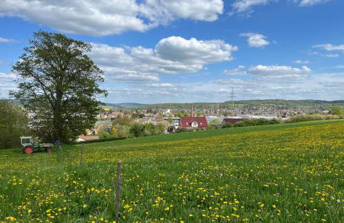 Ferienhof Zinn - Foto 13