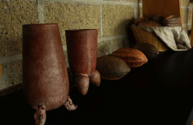 Tour of Guachimontones - Photo 5