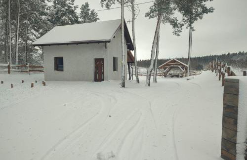 Domek pod sosnami - Foto 15