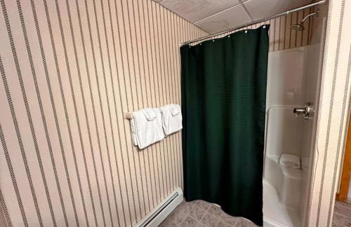 FC26 Bretton Woods home steps from the slopes - Foto 31