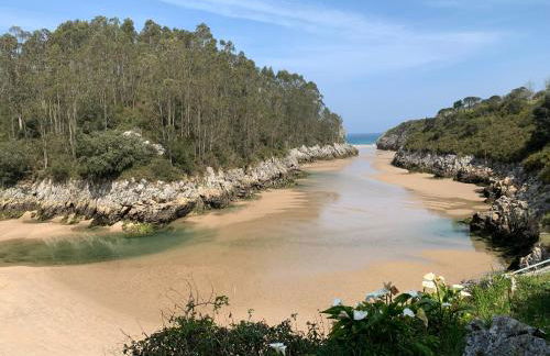 La Paserina de Pría - Foto 22