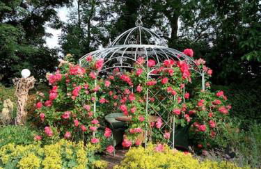 Ferienhaus Rosengarten - Foto 27