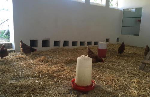 Casa Rural Monterrey Aroche - Foto 36