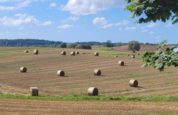 Tymek - domek - Foto 29