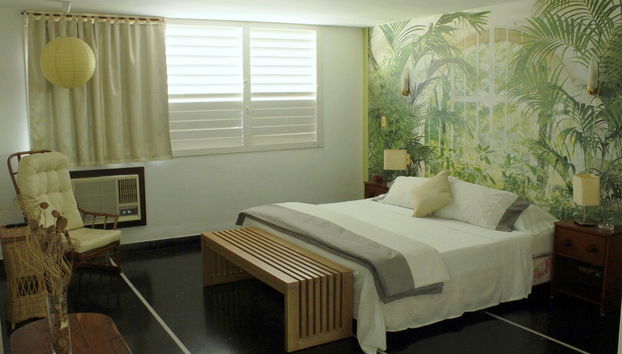 Villa in Havana with swimming pool - Photo 3