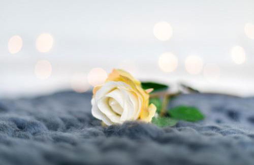 The Hollywood Beautiful 3 Bedroom House - Foto 36