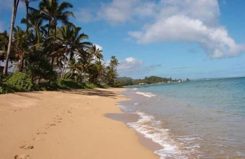 Luxury Beachfront Condo - Foto 41