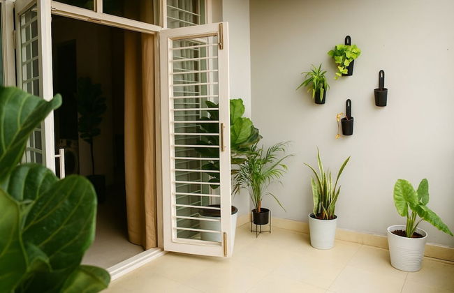 White Fern Stays - Foto 53