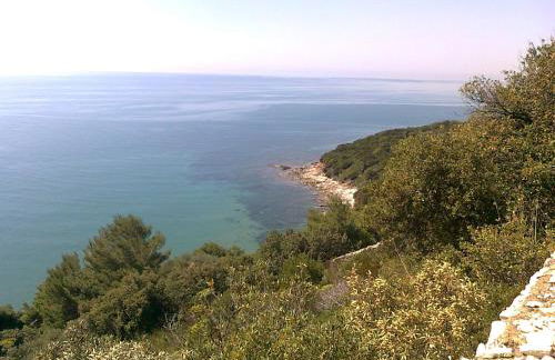 Villa il Faro - Circeo holiday house - Foto 28