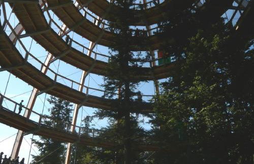 Haus Paradies Superior FEWO`S Loft, Terrasse, private Sauna, aktiv Card, Sankt Englmar - Foto 25