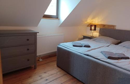 Schlossblick Apartment für 4 mit Küche Kamin Netflix Parken und Hofladen - Foto 19