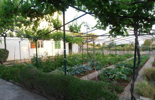 Jenny`s House - Photo 14