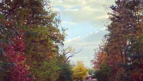 Ferienhaus Victoria - Foto 2