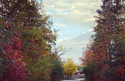 Ferienhaus Victoria - Foto 2