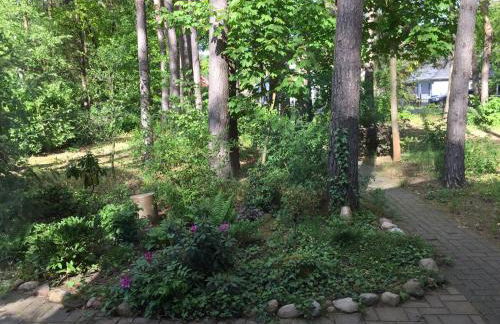 Wald und Wohlsein - Foto 19