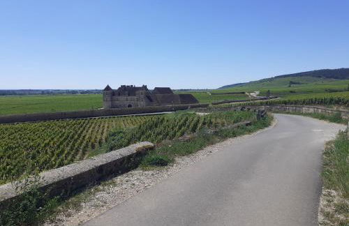 L'Orée de Nuits Maison avec jardin au pied des vignes - Foto 8
