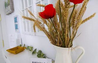 Sherryflat Atípika - Foto 10