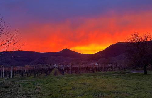 Appartments Rue Des Châteaux - Photo 24