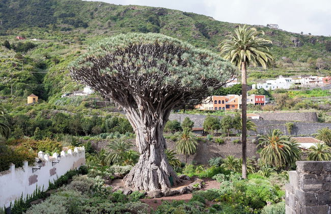 SERENDIPITY F.M - Foto 52