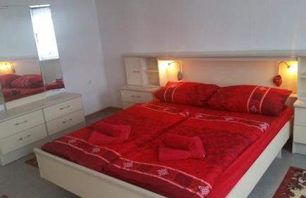 Ferienhaus Benneckenstein - Foto 8