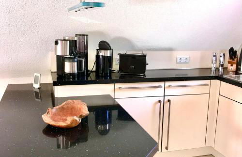 Finnhuette-Seeblick-an-der-Elbe - Foto 9