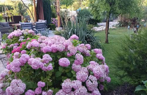 Apartments Duras - Photo 27