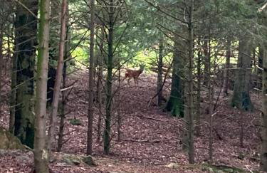 West Cumbria static caravan - Foto 41