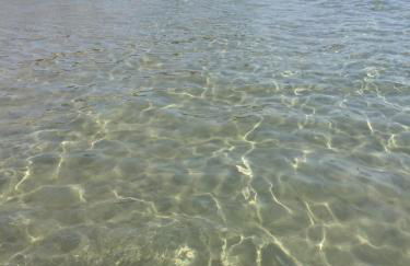 Hotel Campo Di Carlo - Foto 100