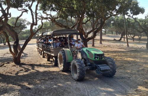 Casa Magana em Grândola - Foto 20