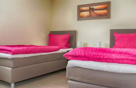 Pension und Ferienwohnungen Bachmann - Foto 17