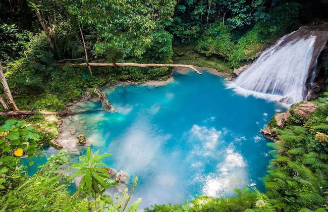 Charming Sea View Town House Chef Driver Optional - Photo 54