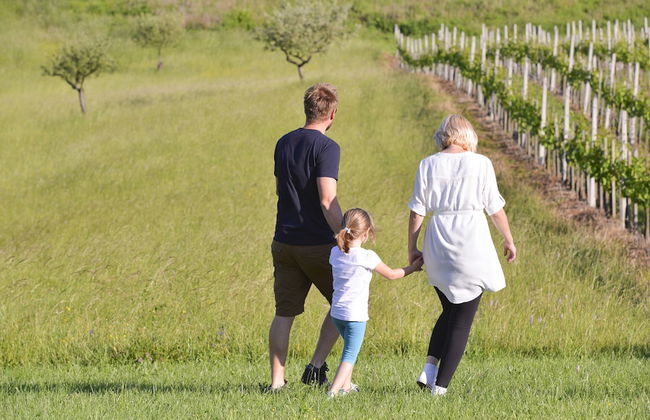 Apartments Vinska Trta - Photo 35