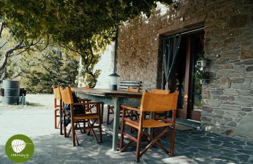 Villa Cerfoglio, pace sulle colline romagnole - Foto 14