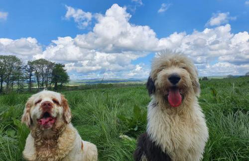 Charming pet friendly 2 bedroom cottage, close to Narberth & local beaches, friendly animals on our smallholding - Foto 22