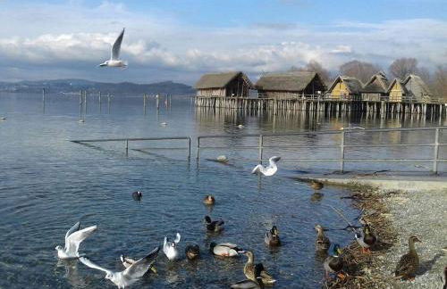 Ferienwohnung Haus Michel, 90 Qm - Foto 23