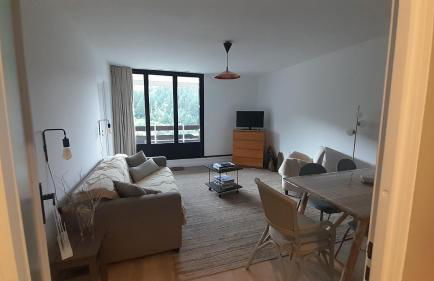 Appartement osca des brimbelles - Foto 4