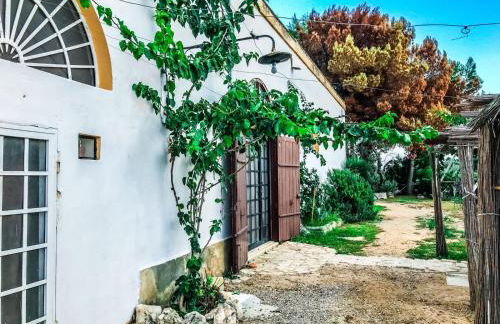 Masseria Tornesella Don Giuliano - Foto 25