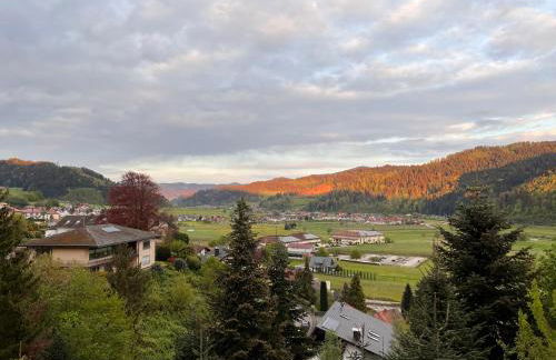 Graceland In the Black Forest - Foto 53