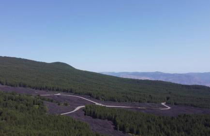 Poggio Roseto - Foto 100