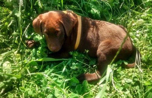 Casarao dos Reis - Foto 14