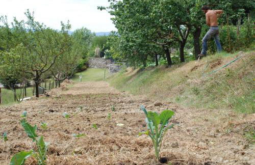 Agriturismo Fattoria Walden - Foto 35