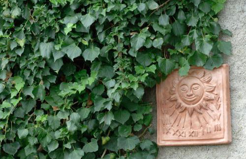 Podere il Giurato - Foto 61