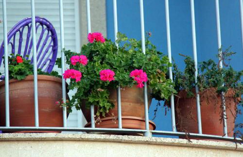 Casa Laureana - Foto 27