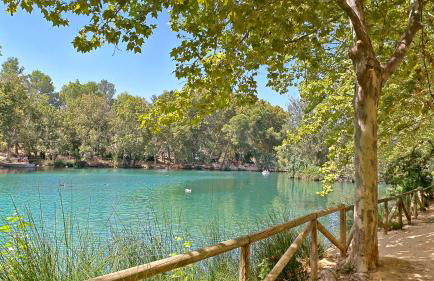 El Surtidor - Foto 21