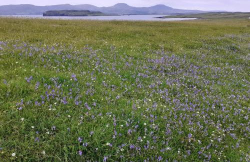 Ornum Self Catering Cottage - Foto 47