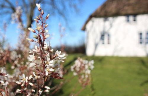Reetdachhaus-Poppenbüll - Foto 4