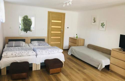 Noclegi pod kasztanem - Foto 11