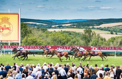 Open Plan Dog Friendly Annexe Sleeping 2 I Near Local Beaches & Chichester with FREE Parking - Foto 45