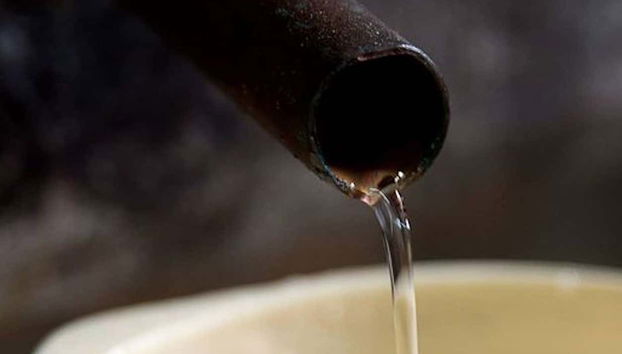 Cachaça pura di Garopaba